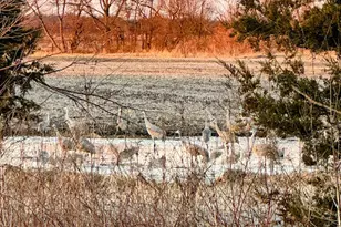 15752 W 400 N, Medaryville, IN 47957 - Photo 33