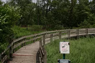 6316 Rhode Island, Hammond, IN 46323 - Photo 17