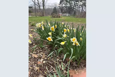 8256 E State Road 2, New Carlisle, IN 46552 - Photo 23