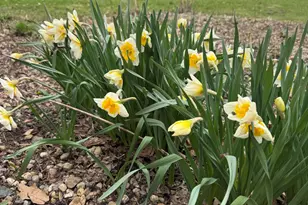 8256 E State Rd 2, New Carlisle, IN 46552 - Photo 23