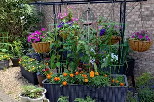 317 Azalea Dr, Hobart, IN 46342 - Photo 23