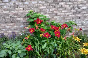 317 Azalea Dr, Hobart, IN 46342 - Photo 21