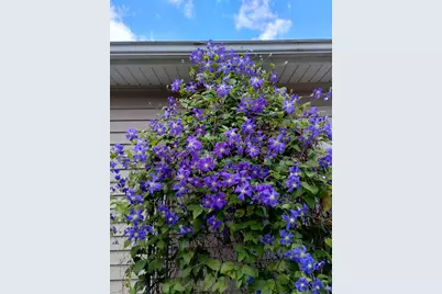 317 Azalea Drive, Hobart, IN 46342 - Photo 19