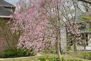 7412 Forest Ridge Dr, Schererville, IN 46375 - Photo 57