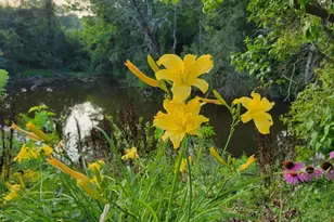 25 S Cherrywood Ln, Valparaiso, IN 46385 - Photo 55