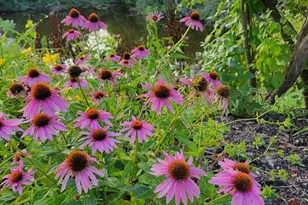 25 S Cherrywood Ln, Valparaiso, IN 46385 - Photo 57