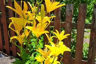 25 S Cherrywood Ln, Valparaiso, IN 46385 - Photo 59