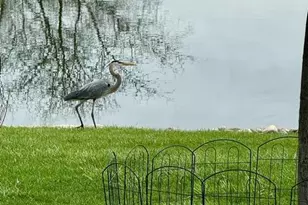 12603 W 101st Ave, Saint John, IN 46373 - Photo 19