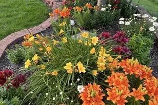 5360 72nd Ave, Schererville, IN 46375 - Photo 3