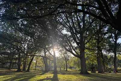 8540 Christopher Drive, Saint John, IN 46373 - Photo 39