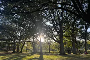 8540 Christopher Dr, Saint John, IN 46373 - Photo 39