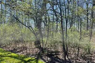 500 Wildwood Ave E, Cedar Lake, IN 46303 - Photo 1