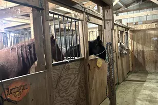 13226 S County Line Rd, Crown Point, IN 46307 - Photo 37