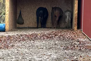 13226 S County Line Rd, Crown Point, IN 46307 - Photo 43