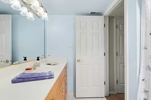 113 Swan Dr, Dyer, IN 46311 - Photo 17