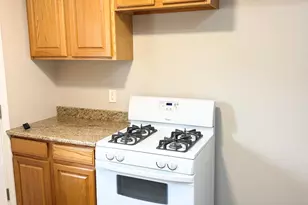 229 Broadmoor Ave, Munster, IN 46321 - Photo 3