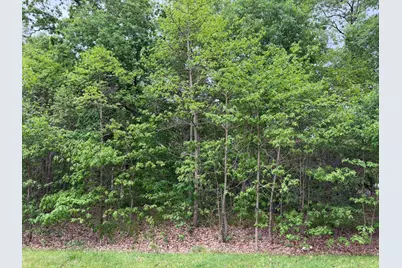 Vacant Lot 565 E, Demotte, IN 46310 - Photo 1
