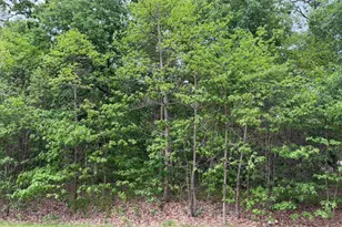 Vacant Lot 565 E, Demotte, IN 46310 - Photo 1