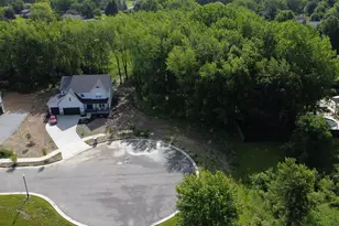 9155 Willow Ln, Saint John, IN 46373 - Photo 3