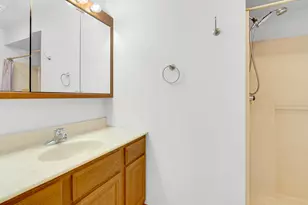 218 Summerhill Dr, Dyer, IN 46311 - Photo 19