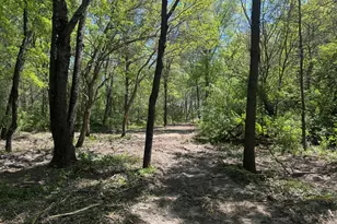 Tbd Us-41, Lake Village, IN 46349 - Photo 1