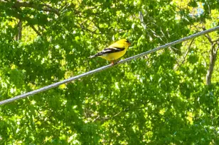 4126 E 31st Ave, Hobart, IN 46342 - Photo 25