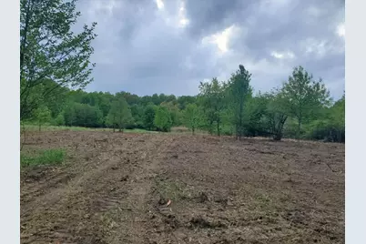 13196 County Line Road, Crown Point, IN 46307 - Photo 5