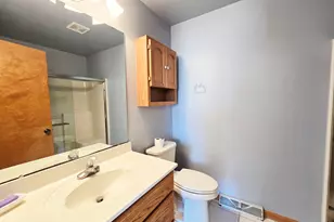 11538 Homestead Village Ct, Saint John, IN 46373 - Photo 19