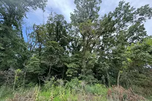 4 Acres Vacant Land 800 N, Wheatfield, IN 46392 - Photo 1