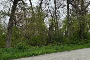 0 S Pin Oak Dr, La Porte, IN 46350 - Photo 1