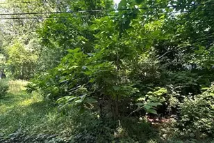 Lot 21 Claussen, Valparaiso, IN 46383 - Photo 1