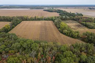 Lot 3 Homestead Farms Phase 2, Lake Village, IN 46349 - Photo 1