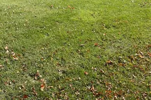 9714 W 133rd Ave, Cedar Lake, IN 46303 - Photo 1