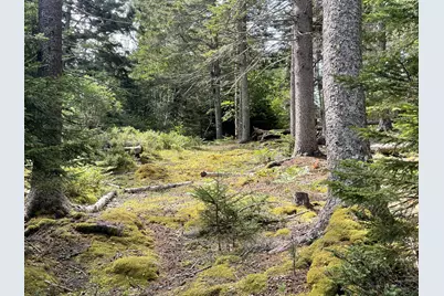 0A Old Harbor Road, Vinalhaven, ME 04863 - Photo 7
