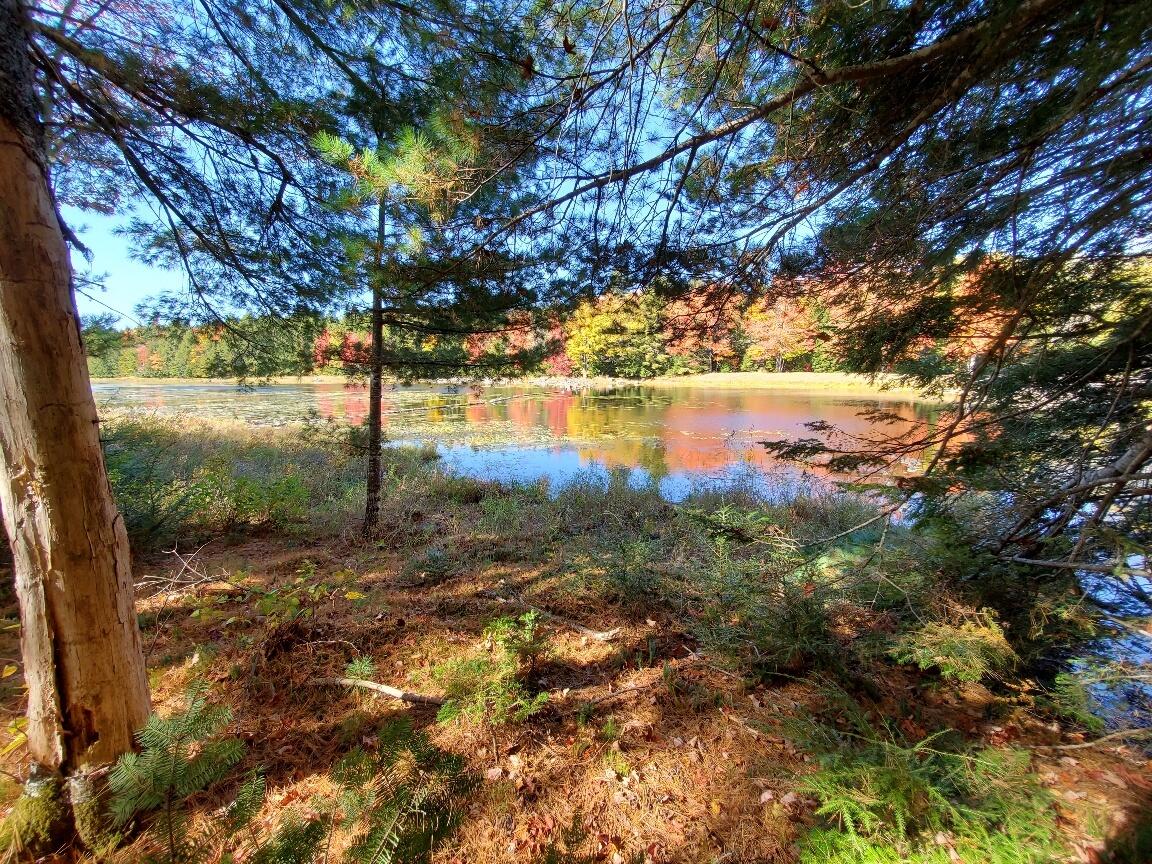 0 Clifford Lake Rd, Greenlaw Chopping Twp, ME 04668 MLS 1545793