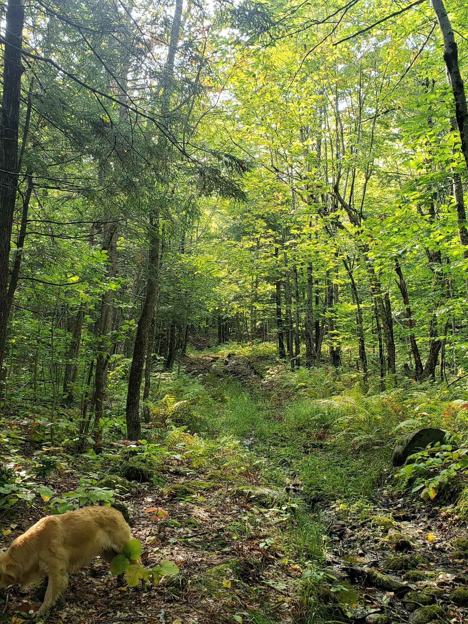 M16/L28 Klondike Hill Ln, West Paris, ME 04289 MLS 1551108 Coldwell