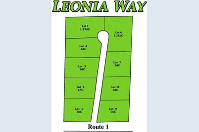 Lot #6 Leonia Road - Photo 1