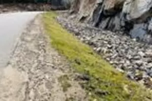 7 Macie Dr, Standish, ME 04084 - Photo 7