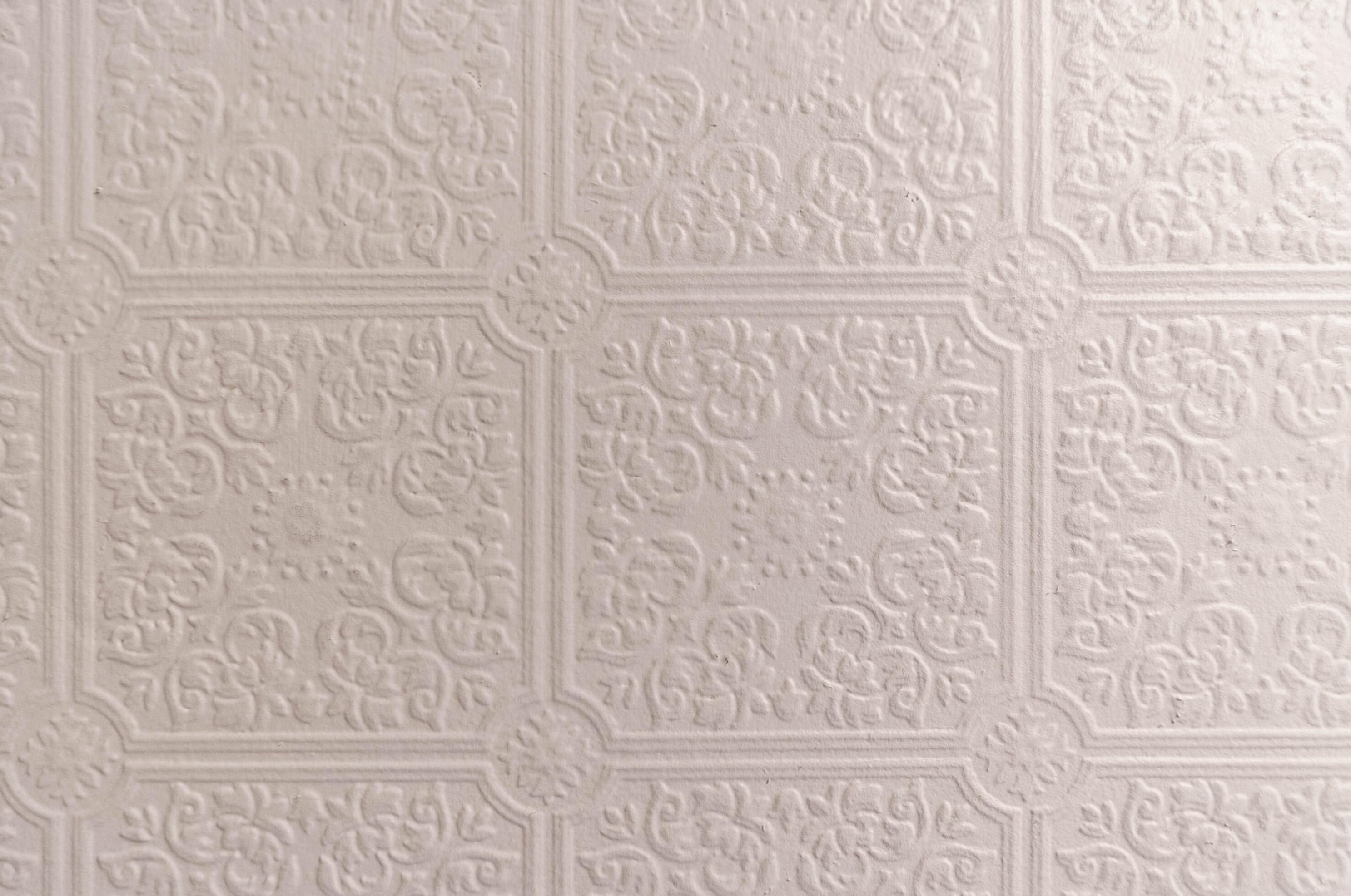 9 Alba St, Portland ME 04103-2503 exterior