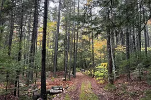 440 Belfast Rd, Camden, ME 04843 - Photo 29