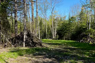 2 Tumbledown Ln, Greenville, ME 04441 - Photo 1