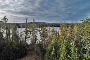 60 Lower Lake Rd, Danforth, ME 04424 - Photo 55