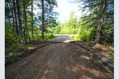 Lot 27 Brewer Road, Cary, ME 04471 - Photo 3