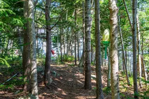 Lts 23A&24 Birch Island, South Bristol, ME 04568 - Photo 61