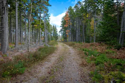 272 Estates Road, Steuben, ME 04680 - Photo 31