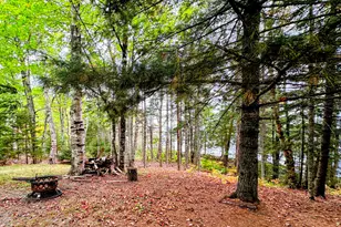 32 Dinsmore Ln, Whiting, ME 04691 - Photo 5