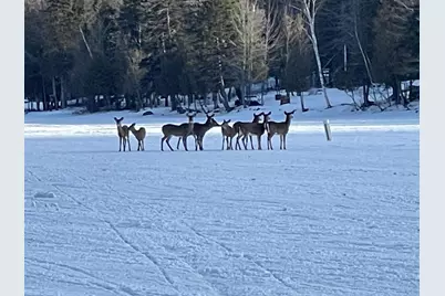 60 Targett Road, Rangeley, ME 04970 - Photo 53
