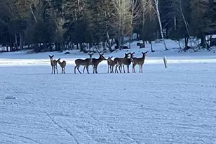 60 Targett Rd, Rangeley, ME 04970 - Photo 53