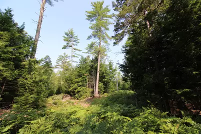Lot 12 Bear Pond Road, Waterford, ME 04088 - Photo 61