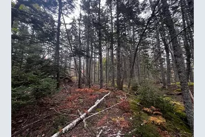 12-1 S Burnt Cove Road, Stonington, ME 04681 - Photo 7